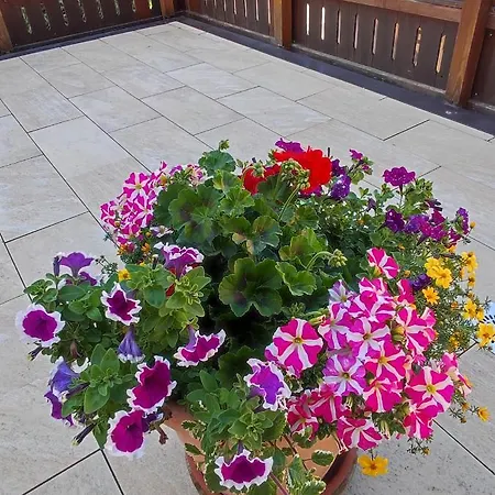 Alpina Neustift Gasthuis 4*