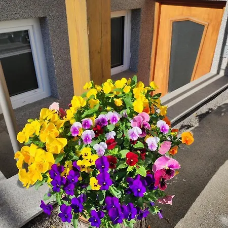 Alpina Neustift Guest house 4*
