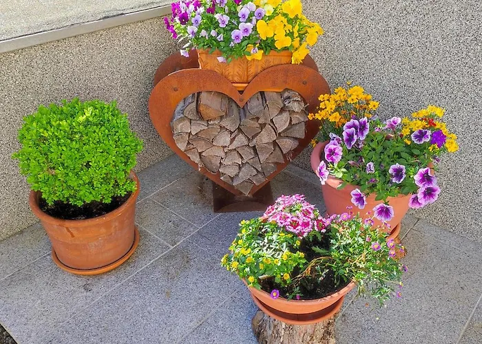 Gasthof Alpina Neustift 4*