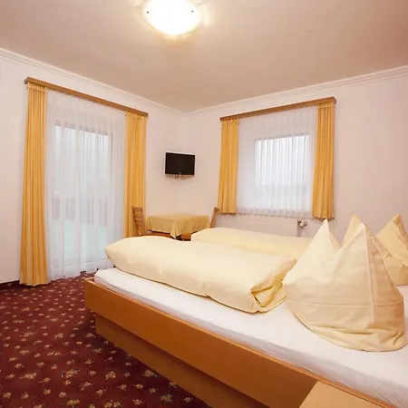 Guest house Alpina Neustift 2*
