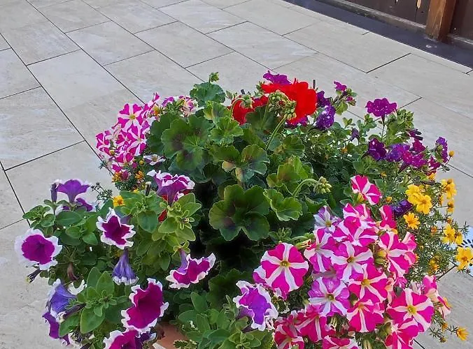 Alpina Neustift Maison d'hôtes 4*