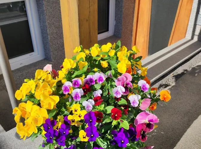 Alpina Neustift Pensión 4*